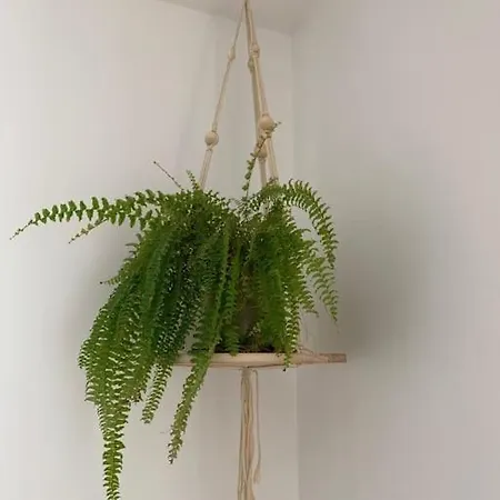 Au 154 Bis - Joli Avec Grande Terrasse Et Proche De La A Malo Dunkirk